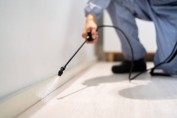 Best Residential Pest Control  in Mount Shasta, CA