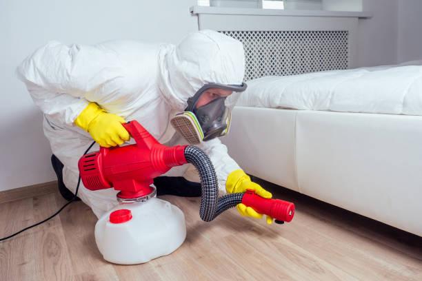 Best Affordable Pest Control Services  in Mount Shasta, CA