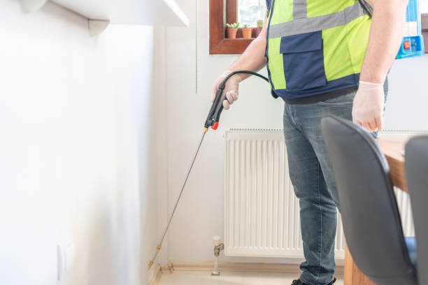 Best Termite Control Services  in Mount Shasta, CA