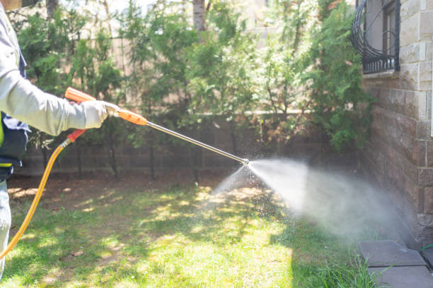 Best Best Pest Control Companies  in Mount Shasta, CA