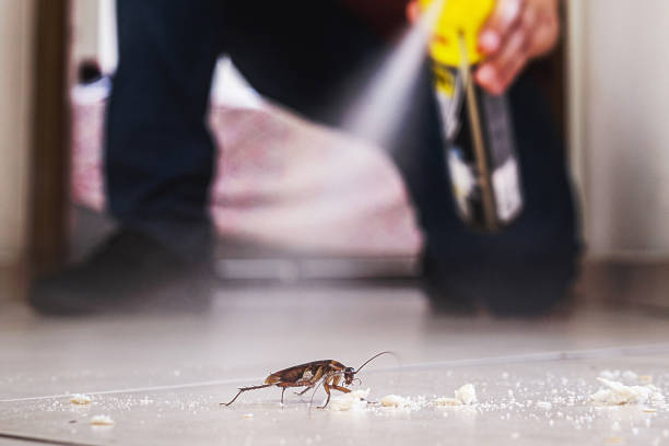 Best Pest Inspection Near Me  in Mount Shasta, CA