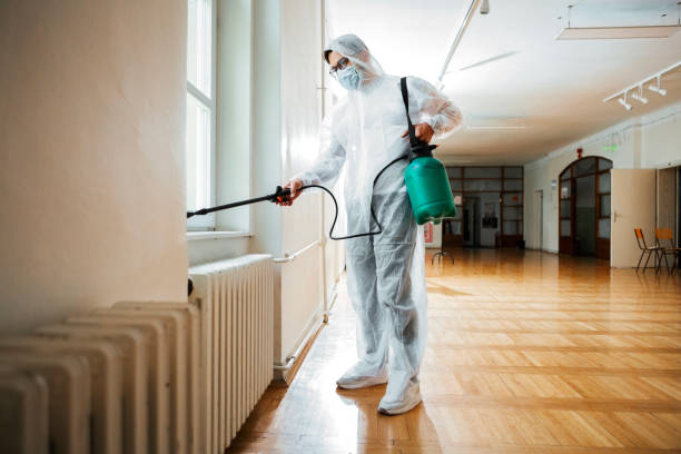 Best Best Pest Control Companies  in Mount Shasta, CA